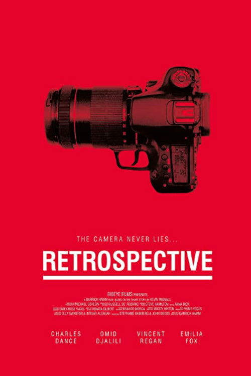 Retrospective (2014) poster