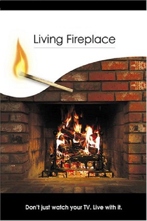 Living Fireplace (2005) poster
