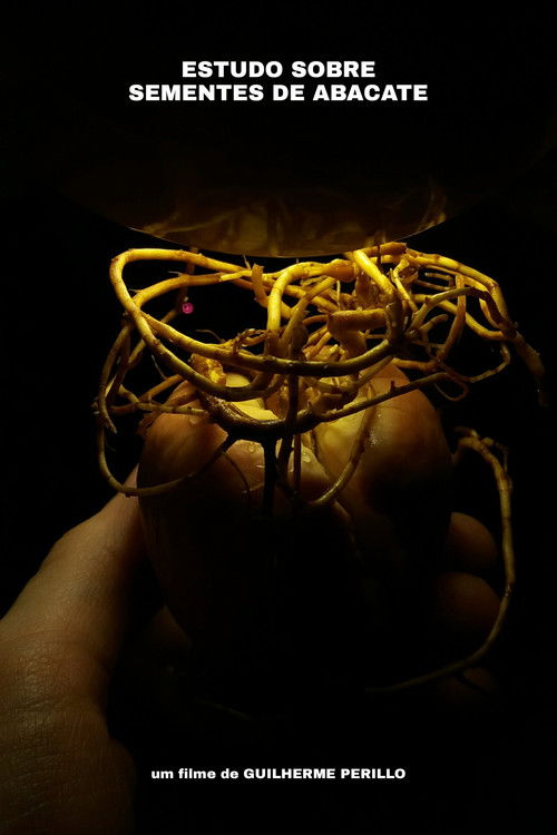 ESTUDO SOBRE SEMENTES DE ABACATE (2020) poster