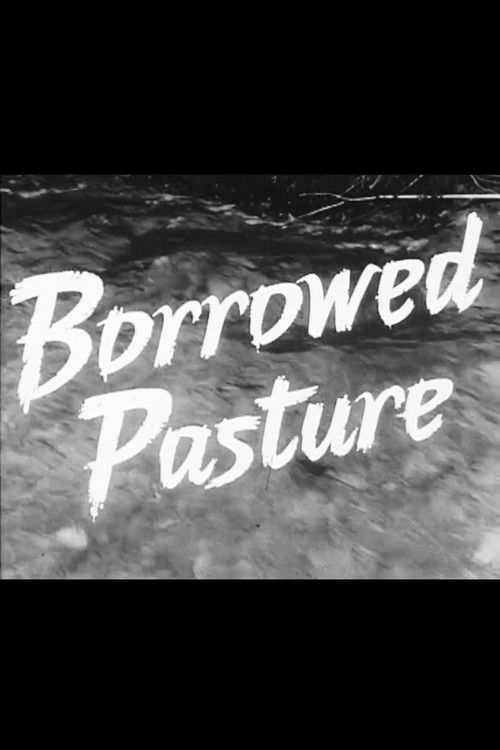 Borrowed Pasture (1960) poster