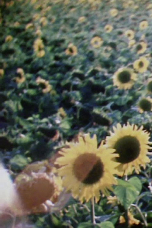 Ave Maria (1987) poster