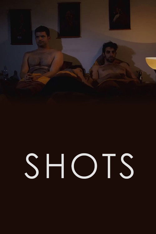 Shots (2014) poster