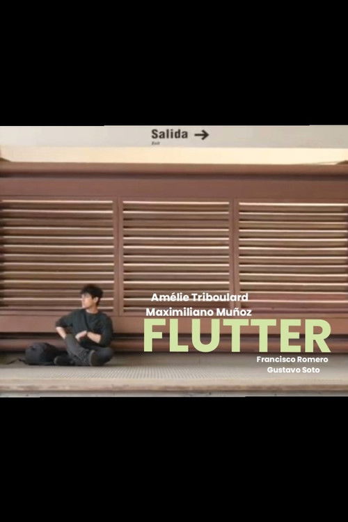 Flutter (2024) poster