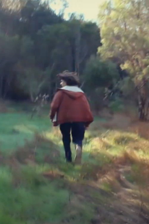 Gnome Hunting poster