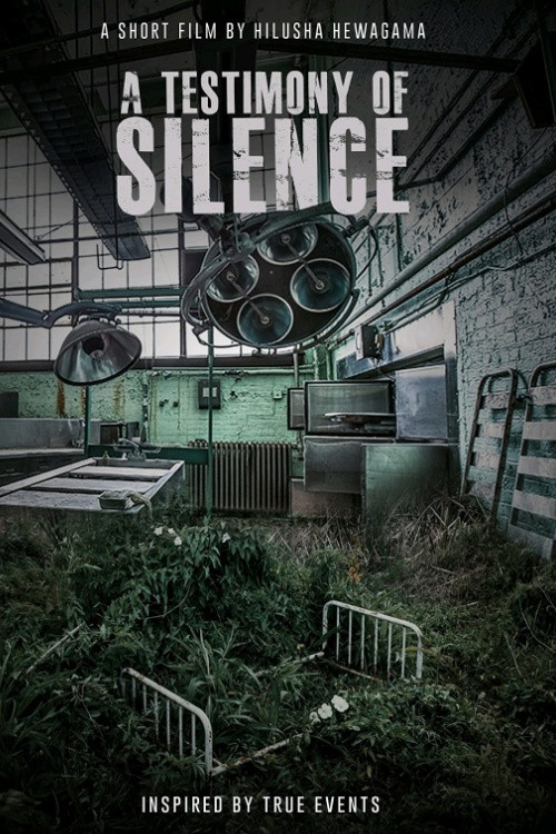 Testimony of Silence (2019) poster