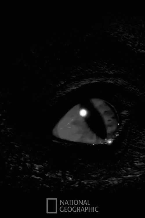 Prehistoric Monsters Revealed (2008) poster