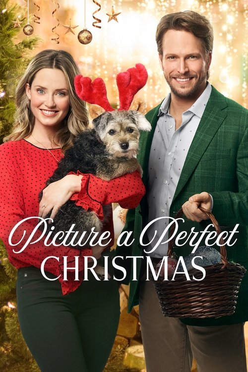 Picture a Perfect Christmas (2019) poster