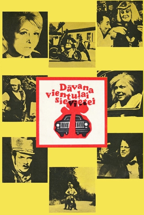 Dāvana vientuļai sievietei (1973) poster