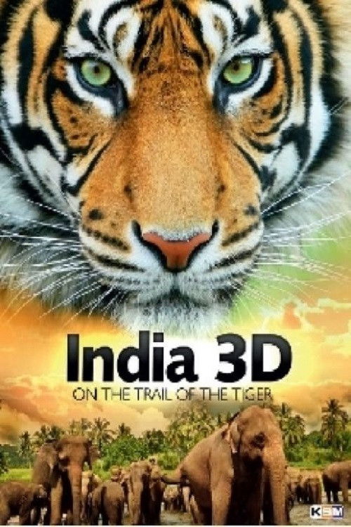 India On The Trail Of The Tiger 3D (2013) poster
