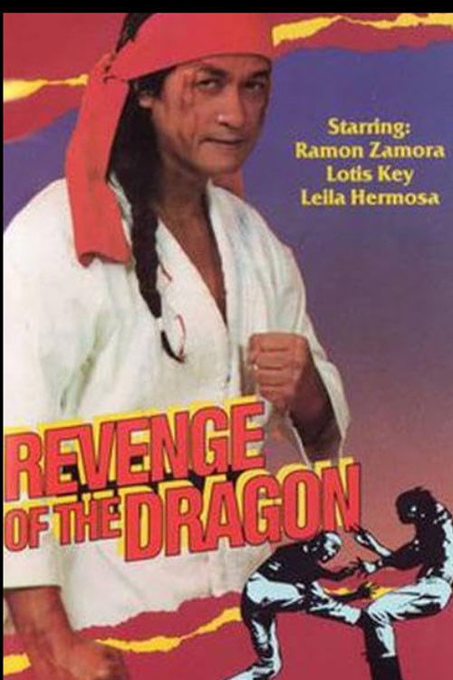 Revenge of the Dragon (1977) poster