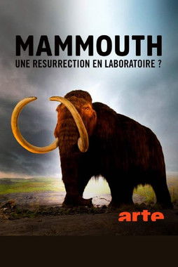 Ein Mammut-Projekt – Wiedergeburt ausgestorbener Arten (2024) poster