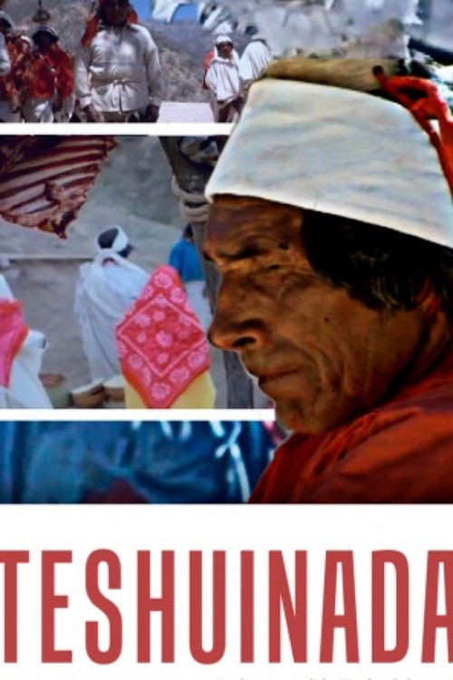 Teshuinada, semana santa Tarahumara (1979) poster