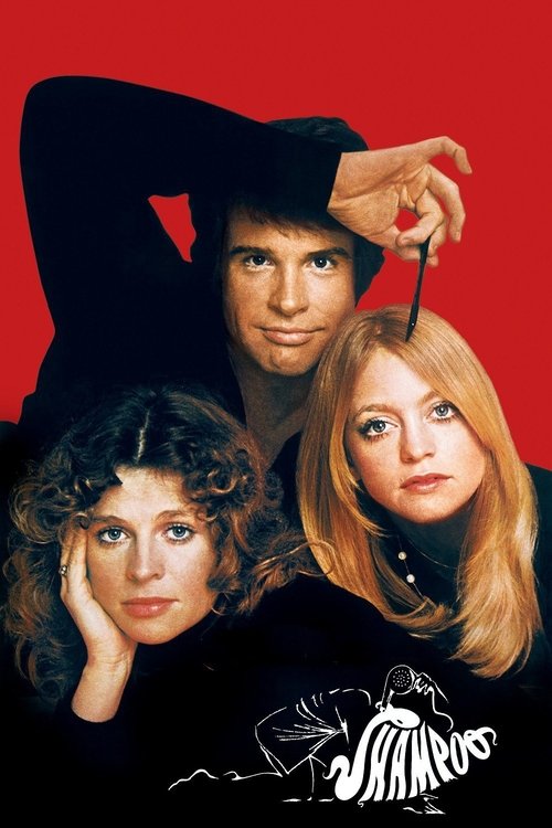 Sosyete Kuaförü (1975) poster