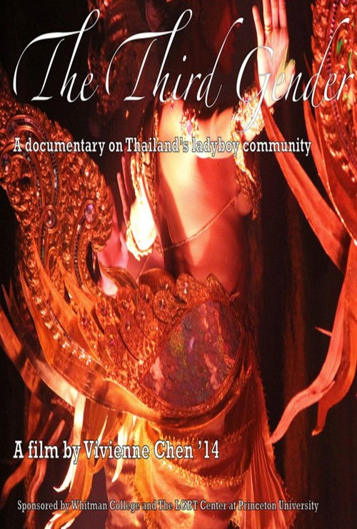 The Third Gender (2013) poster