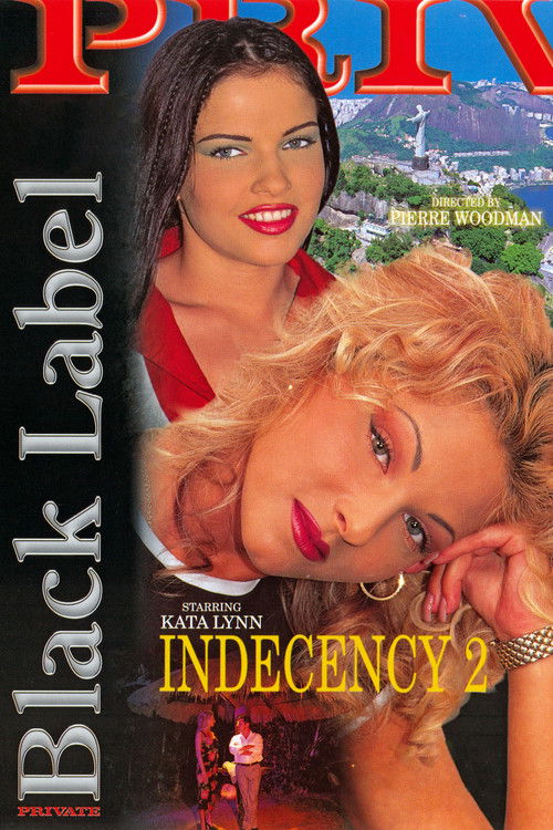 Indecency 2 (1998) poster