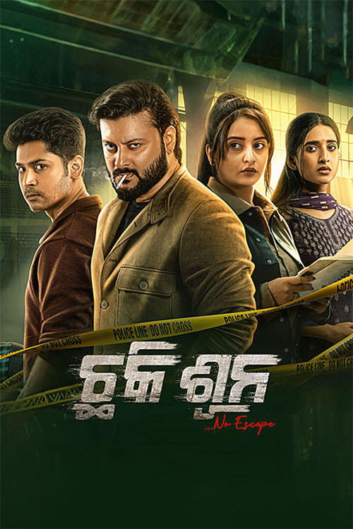 ଛକି ସୁନ (2026) poster