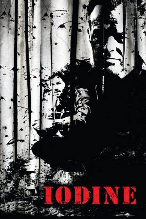 Iodine (2009) poster