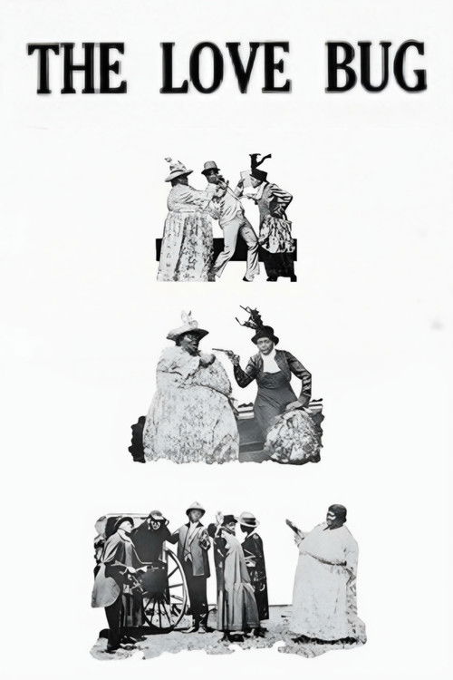The Love Bug (1919) poster