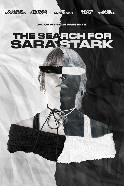 The Search for Sara Stark (2024) poster
