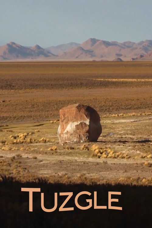 Tuzgle poster