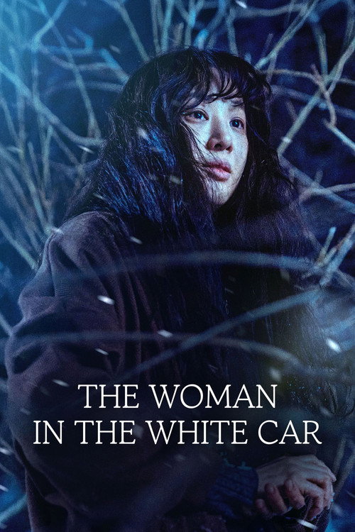 하얀 차를 탄 여자 (2025) poster