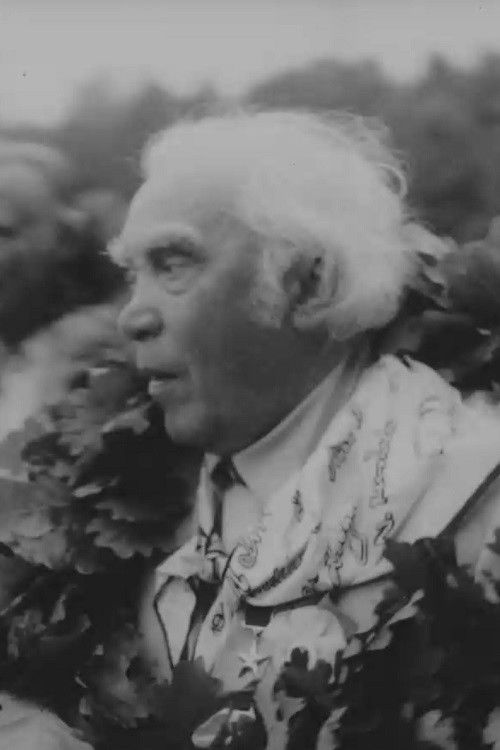 Maestro (1985) poster