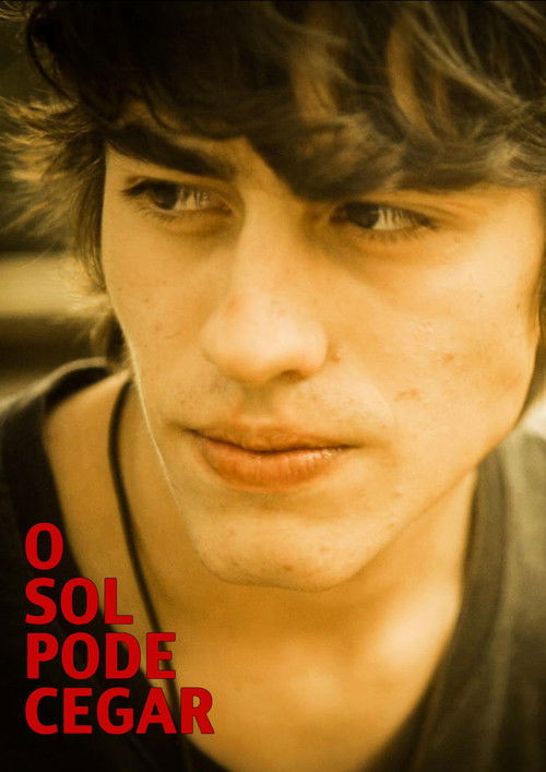 The Sun Can Blind (2013) poster