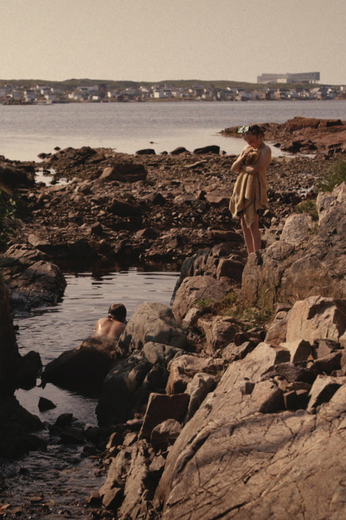 Dropstones (2021) poster