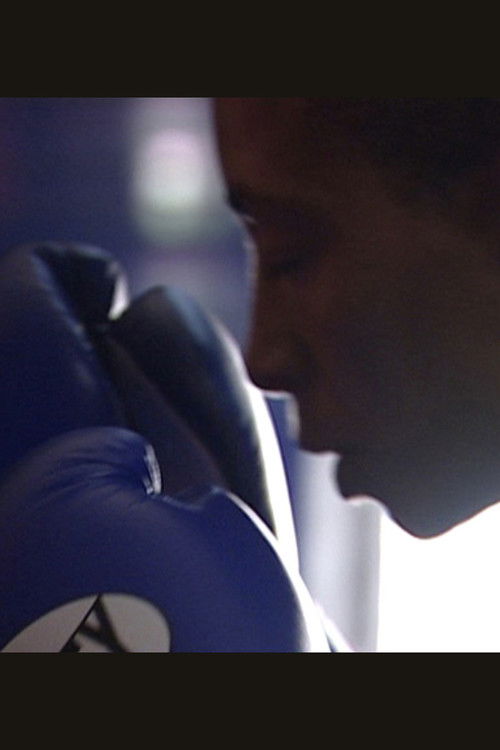 A Knock Out (2006) poster