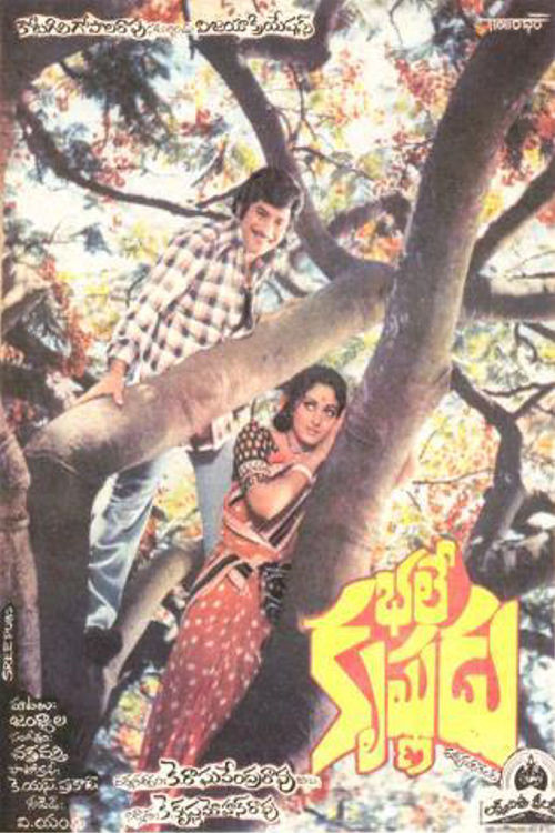 Bhale Krishnudu (1980) poster