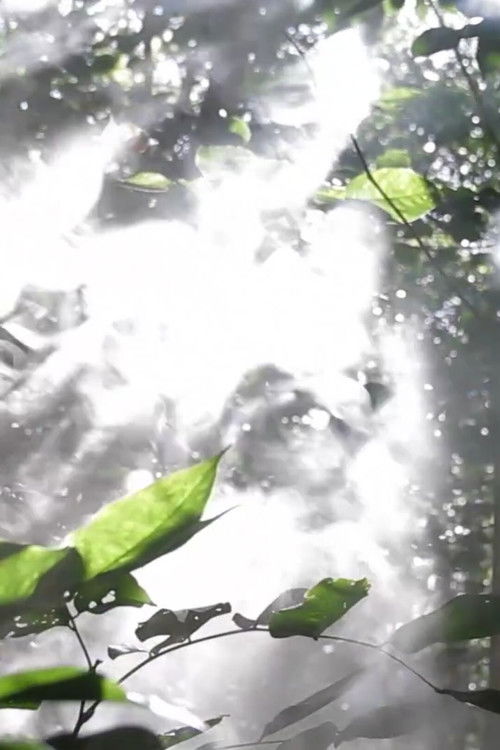 Post-Military Cinema poster