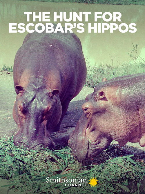 The Hunt for Escobar's Hippos (2020) poster