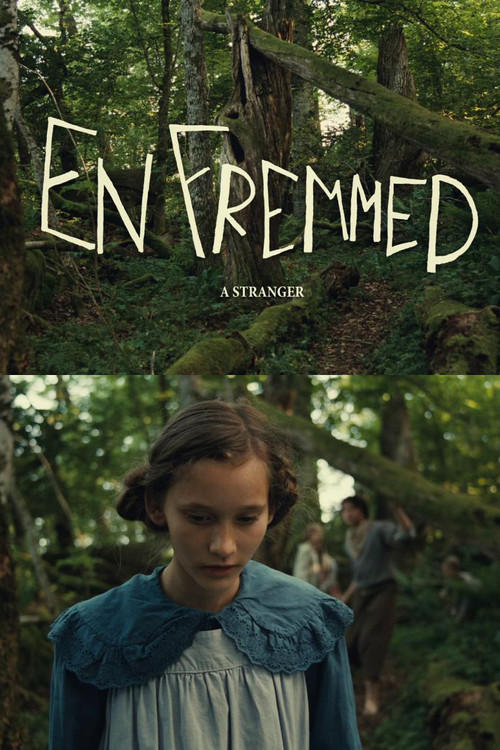 A Stranger (2014) poster