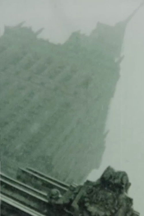 Daily News (1979) poster