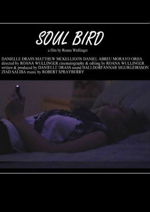 Soul Bird (2014) poster