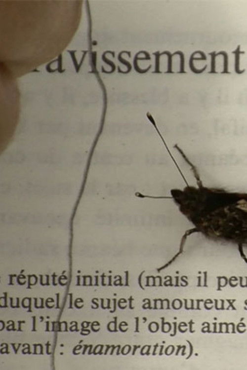 Love on the Bramble Path (2025) poster