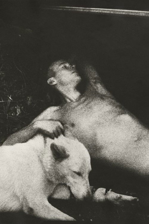 Automan (1988) poster