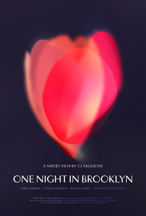 One Night in Brooklyn (2025) poster