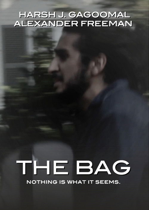 The Bag (2015) poster