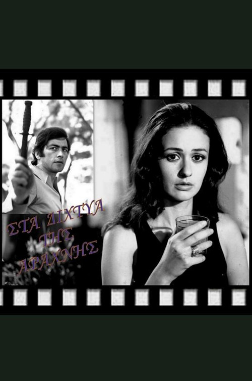 In the Spider's Web (1973) poster