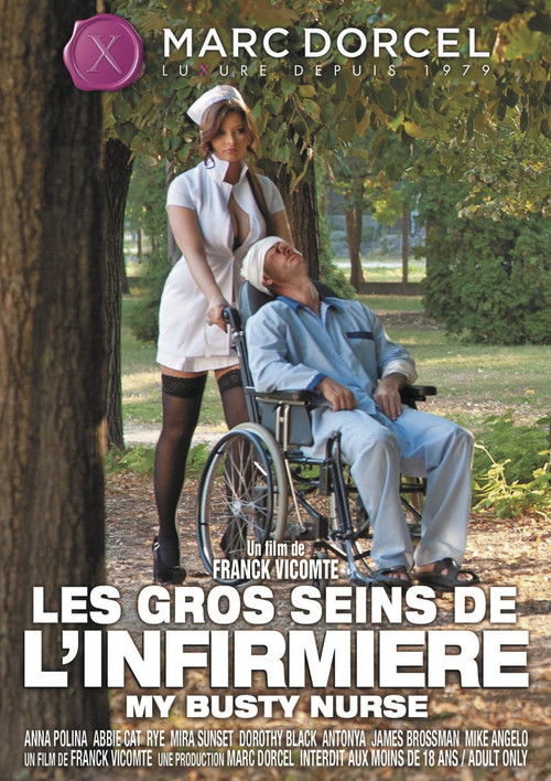 Les Gros Seins de L'Infirmière (2013) poster