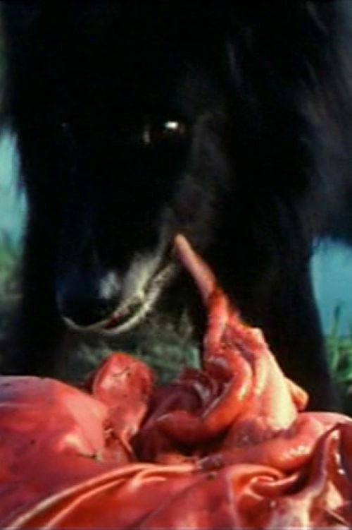 Hostel Party (1990) poster