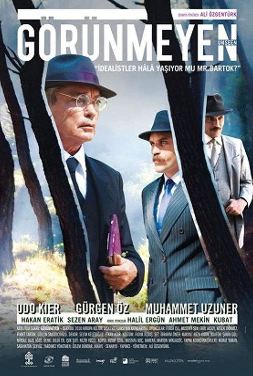 Görünmeyen (2011) poster