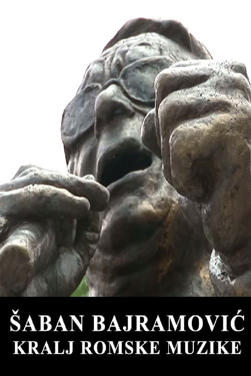 Šaban Bajramović - King of Romani Music (2014) poster