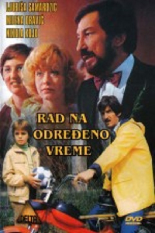 Part-Time Work (1980) poster