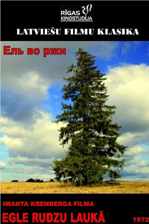 Egle rudzu laukā (1972) poster