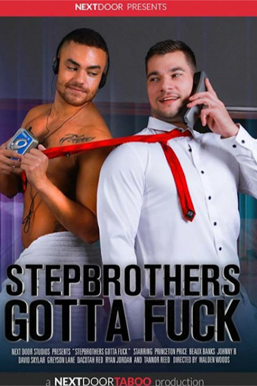 Stepbrothers Gotta Fuck (2021) poster