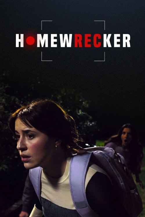 Homewrecker (2025) poster