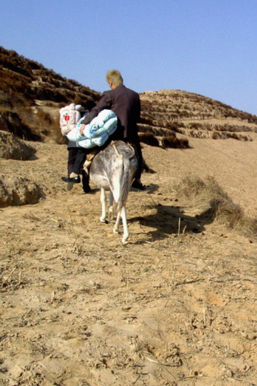 The Half Hitching Post (2005) poster
