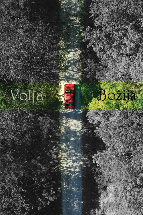 God's Will (2019) poster